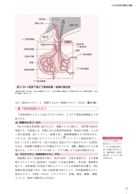 管理栄養士養成のための栄養学教育モデル・コア・カリキュラム準拠 第2