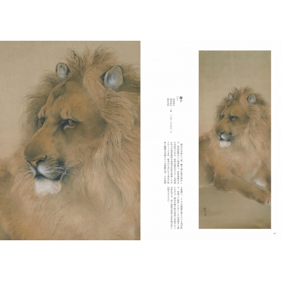 Lion pride before the fall ライオン写真集 Lion pride before the fall ライオン写真集 Lion: Pride Before the