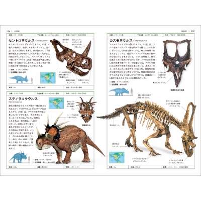洋書多読　図鑑など7冊　恐竜　鉱物　古生物encyclopedia 人体 新版〕岩石・鉱物・化石 DVDつき (小学館の図鑑NEO 18) | 萩谷