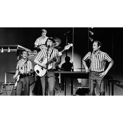 ブライアン・ウィルソン/約束の旅路 : Brian Wilson | HMV&BOOKS