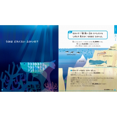 ★確認用　なぜなにふしぎえほん　カバー ☆確認用 なぜなにふしぎえほん カバー
