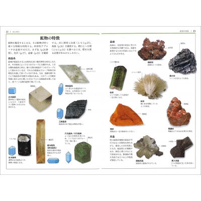 Amazon.co.jp: 学研 原色ワイド図鑑 12冊セット Picture