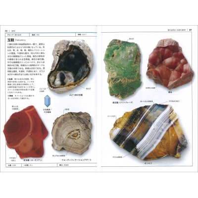 岩石・鉱物図鑑 自然科学ハンドブック : クリス・ペラント