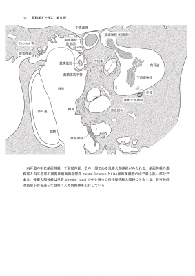 耳科学アトラス -形態と計測値-第5版 : 野村恭也 | HMV&BOOKS online