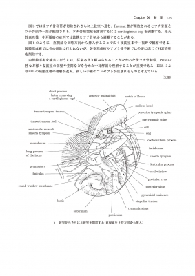 耳科学アトラス -形態と計測値-第5版 : 野村恭也 | HMV&BOOKS online