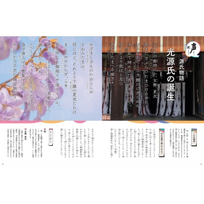 紫式部と源氏物語 ビジュアルでつかむ!古典文学の作家たち : 川村裕子