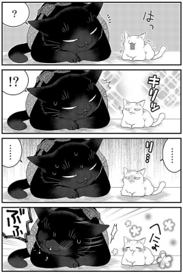 デキる猫は今日も憂鬱 7 ワイドKC : 山田ヒツジ | HMV&BOOKS