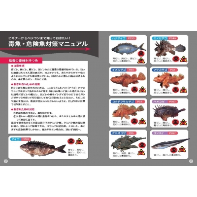 週刊 日本の魚釣り まとめ売り 大量（週刊 日本の魚釣り まとめ
