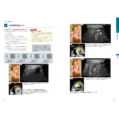 犬と猫の腹部超音波の描出レッスン 戸島下巻セミナー感覚で視聴できる講義動画付き ビジュアルと動画でわかる！ 犬と猫の腹部超音波の描出レッスン 上巻