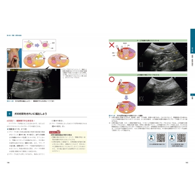 ビジュアルと動画でわかる!犬と猫の腹部超音波の描出レッスン 上巻