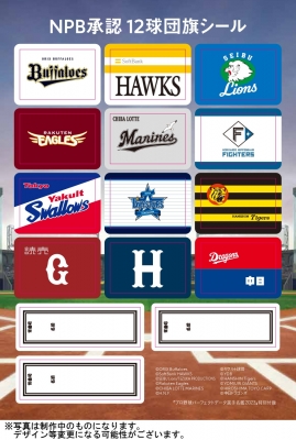 プロ野球　非売品旧11球団チーム旗 プロ野球 非売品旧11球団チーム旗