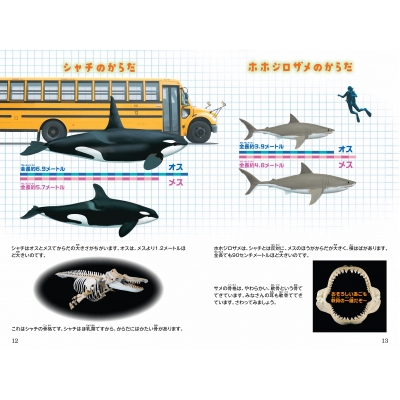 シン・動物ガチンコ対決 頭脳派ギャング シャチ VS 特攻鋸歯