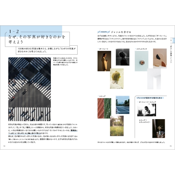 みようみまねで自分らしい表現にたどりつく 写真解体新書 : Bird