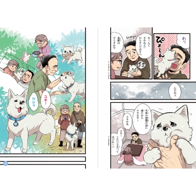 ミラクルラブリー 感動のどうぶつ物語 など１３冊 ミラクルラブリー 感動のどうぶつ物語DX キミとの奇跡 | 春風はな