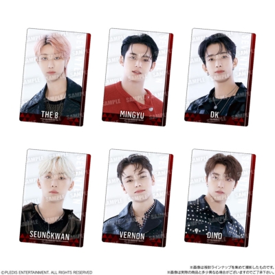SVTツインウエハース From PLEDIS ENTERTAINMENT SEVENTEEN(20個