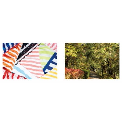 はじめて あった : 大橋仁 | HMV&BOOKS online - 9784861529115