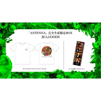 ANTENNA 【完全生産限定BOX】(+Blu-ray+GOODS) : Mrs. GREEN APPLE ...