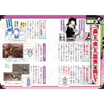マコトカガク研究団　ゆるゆる図鑑　キメツ学園 全集中ドリル　科学クイズドリル キメツ学園！全集中ドリル 最強勉タメシリーズ 9巻セット 通販