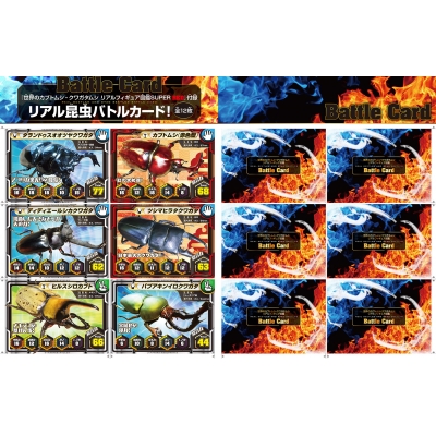 ルカヌスワールド 12冊 世界のカブトムシ・クワガタムシ リアルフィギュア図鑑 SUPER