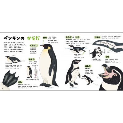 ペンギンのずかん 学研のえほんずかん : 今泉忠明 | HMV&BOOKS online