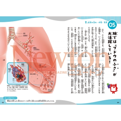 ニュートン科学の学校シリーズ　16冊セット ☆ニュートン科学の学校シリーズ 16巻セット！ 【公式通販】