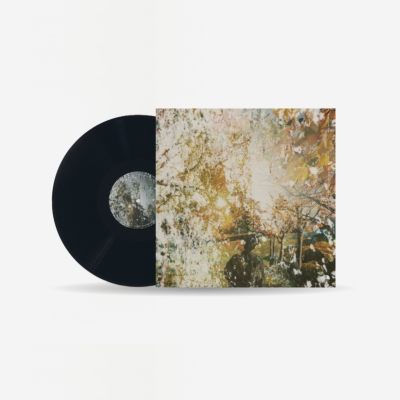 haruka nakamura 春秋 & 冬夏 LP アナログ盤 レコード haruka nakamura｜THE NORTH FACE Sphereとのコラボアルバム