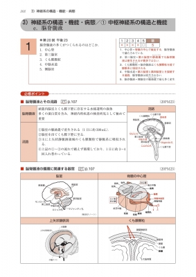 言語聴覚士国家試験必修ポイント ST基礎科目 2024 オンラインテスト付 