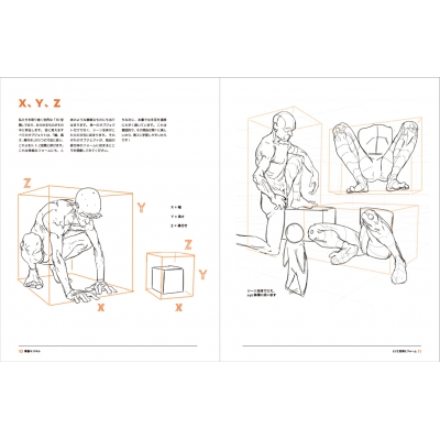 アーティストのための人体解剖学ドローイングフォーム&ポーズ ANATOMY