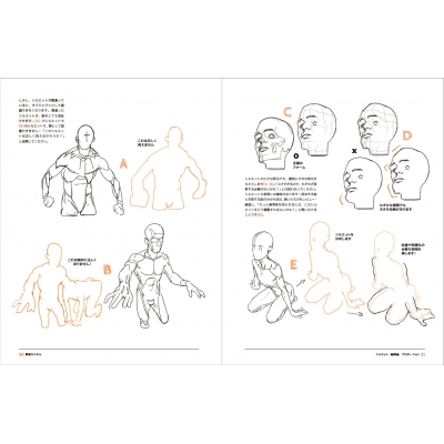 Figure Drawing 　美術　解剖図　遠近法　ドローイング　イラスト アーティストのための人体解剖学ドローイングフォーム&ポーズ ANATOMY