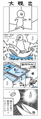 水族館飼育員のキッカイな日常 : なんかの菌 | HMV&BOOKS online