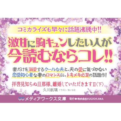 拝啓見知らぬ旦那様、離婚していただきます 2下 メディアワークス文庫