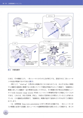 口腔顔面痛の診断と治療ガイドブック 第3版 : 日本口腔顔面痛学会