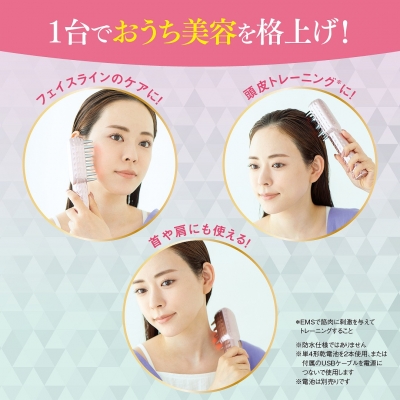 【半額】 air FACE&HEAD ブランド付録つきアイテム : BOOK EMS電気ブラシ ビジネス・経済