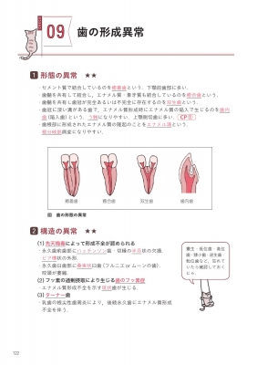 歯科衛生士国家試験直前マスターチェックシートでカンペキ! 71STwiKSVQL.jpg