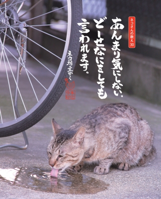 しんどい心が軽くなる今日のネコさんの教え : ネコ坊主 | HMV&BOOKS