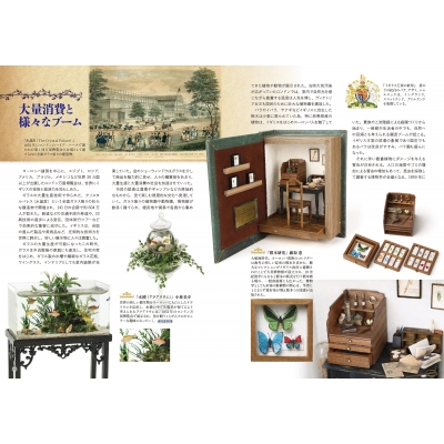 American Dollhouses and Furniture本格的な歴史本 Amazon.co.jp