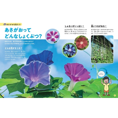 市役所 図書館用堅牢製本/小峰書店/新宅直人（大型本） 新庄市立図書館 - Wikipedia