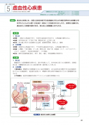 Visual Core Pharma 薬物治療学 : 吉尾隆 | HMV&BOOKS online - 9784525721039