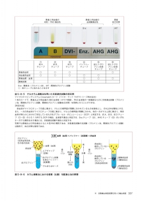 最新臨床検査学講座 免疫検査学/輸血・移植検査学 第2版 最新臨床検査学講座 免疫検査学/輸血・移植検査学 第2版 | 窪田