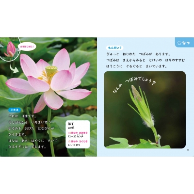 つぼみをみつけよう 1 くさばなのつぼみ : 亀田龍吉 | HMV&BOOKS