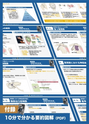 肩関節の極意 痛み編 限界点を通過点に変える秘伝第1弾 : 千葉慎一