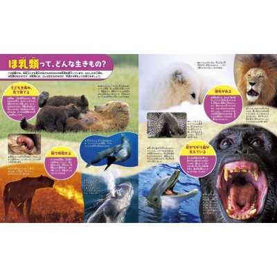 動物 新訂二版 講談社の動く図鑑MOVE : 山極寿一 | HMV&BOOKS