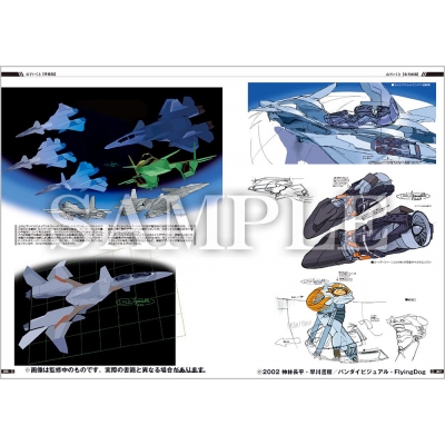 Amazon.co.jp: 戦闘妖精雪風 デスクトップアクセサリー : Software