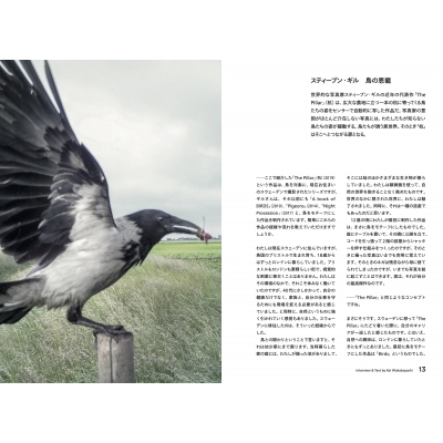 鳥類学 81ei6hNthSL.jpg