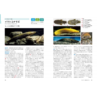 琵琶湖の魚類図鑑 : 藤岡康弘 | HMV&BOOKS online - 9784883258253