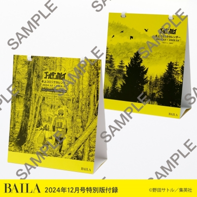 BAILAコンパクト版2018年12月号 (BAILA増刊) 71qUvq-fIGL.jpg