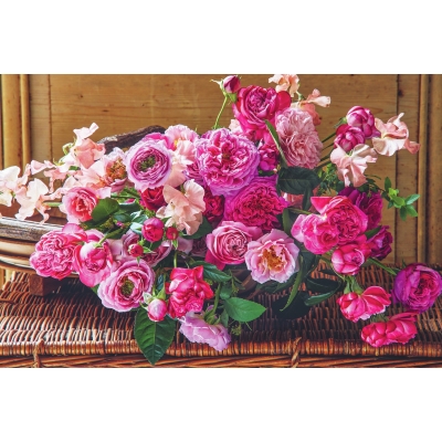 コンパクト版 LEE (リー)2025年 1-2月合併号 : LEE編集部 | HMV&BOOKS