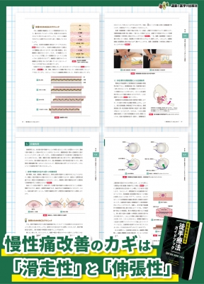 園部俊晴の臨床徒手療法 ガイドブック 裁断済み - メルカリ