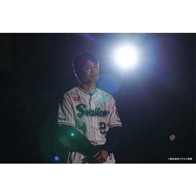 東京ヤクルトスワローズ 青木宣親 DVD : 東京ヤクルトスワローズ