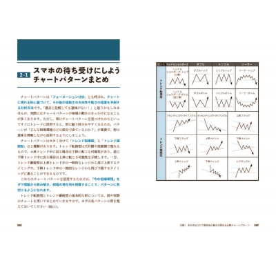 完全再現 8週間で元手10万円を100倍にした科学的「FX・神